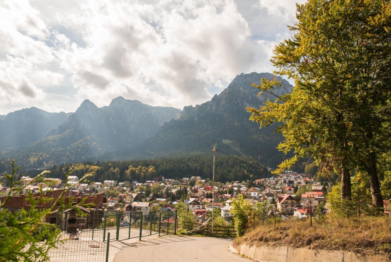 Vila Alegria Buşteni Exteriér fotografie