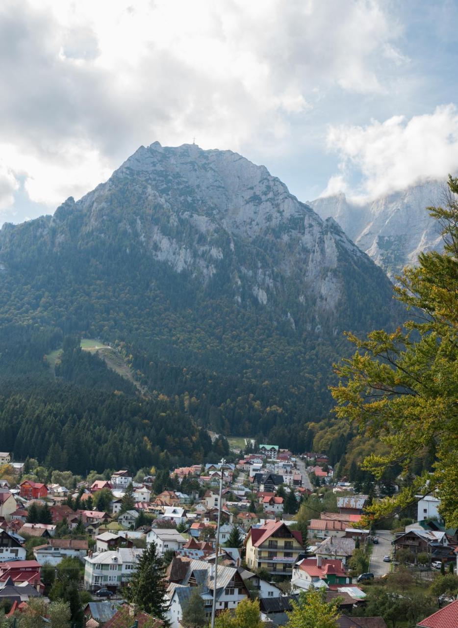 Vila Alegria Buşteni Exteriér fotografie